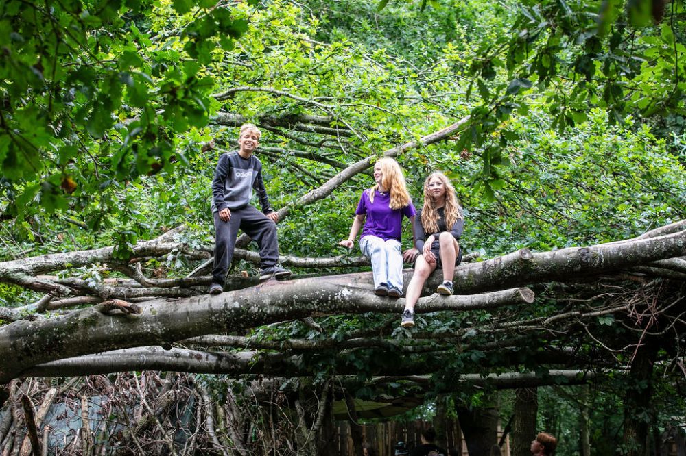 Three people sitting on tree branches in a lush green forest.