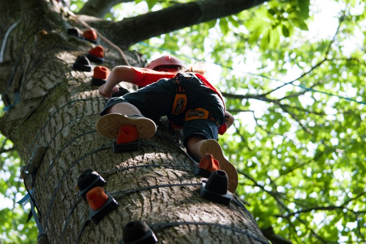 Child wearing a helmet climbs a tree using attached grips, surrounded by green leaves.