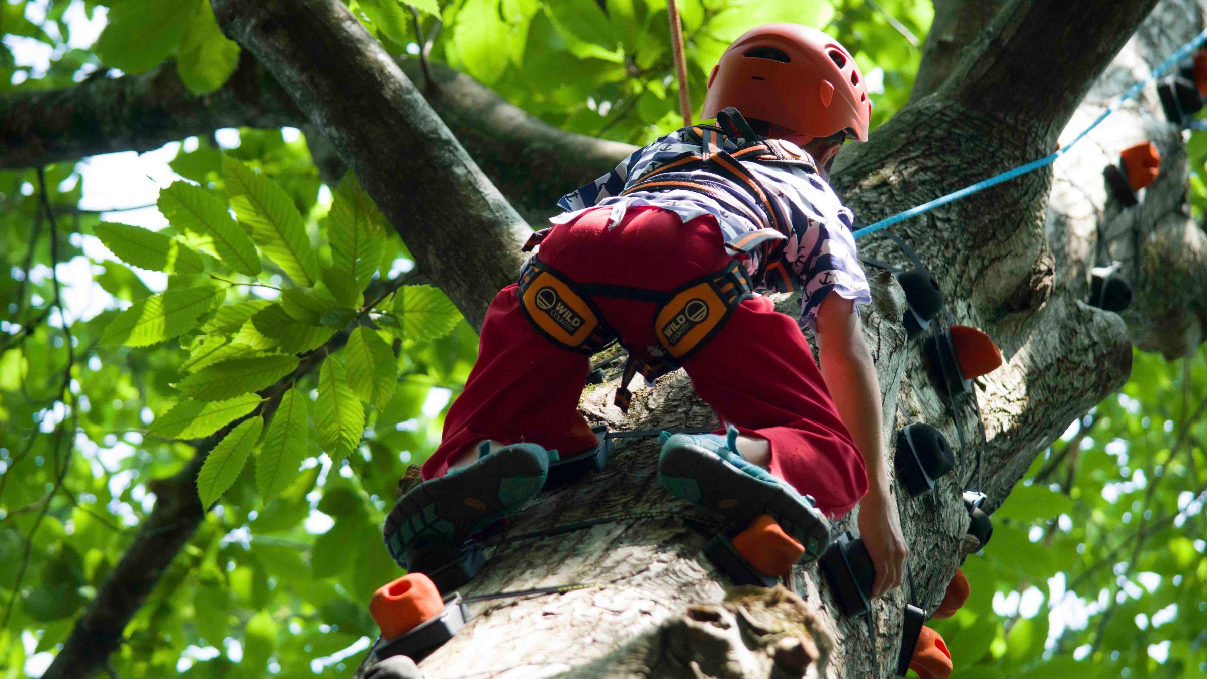 Child in red climbing gear and helmet scaling a tree with rope support.