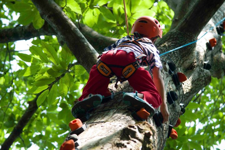 Child in red climbing gear and helmet scaling a tree with rope support.
