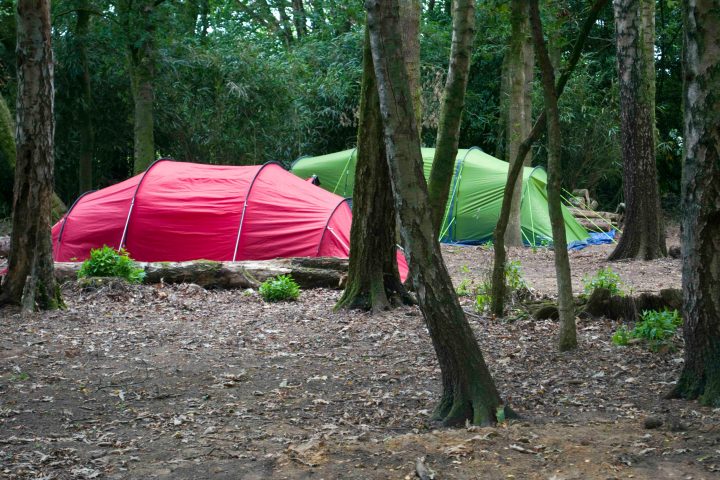Red and green tents in a wooded campsite surrounded by trees.