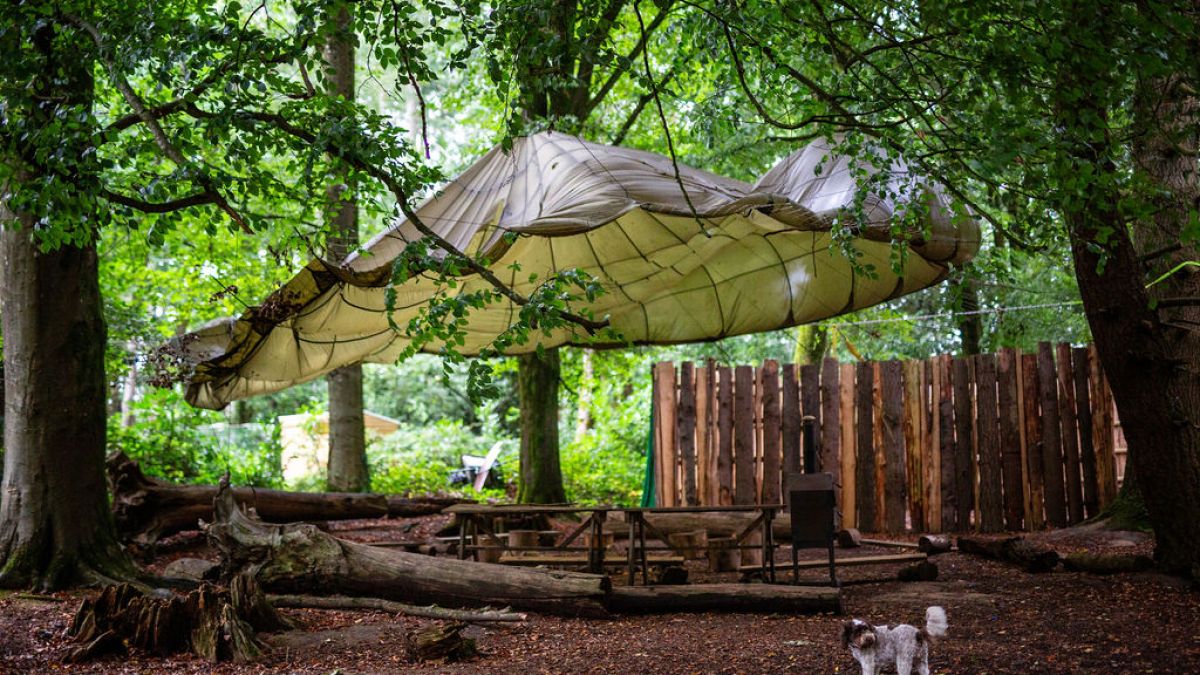 A tarp hangs above logs and benches in a wooded area, with a small dog standing on the ground.