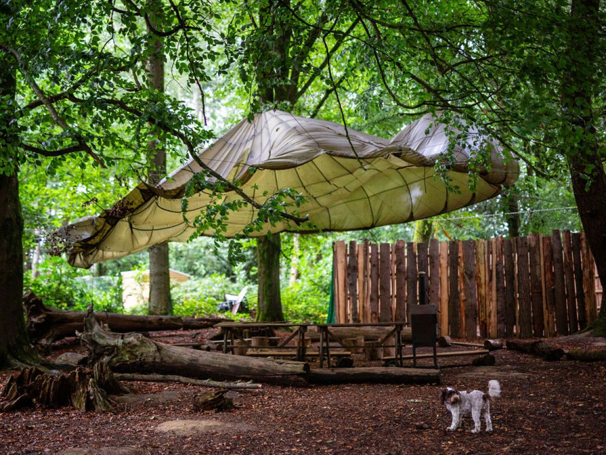 A tarp hangs above logs and benches in a wooded area, with a small dog standing on the ground.