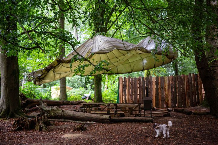 A tarp hangs above logs and benches in a wooded area, with a small dog standing on the ground.