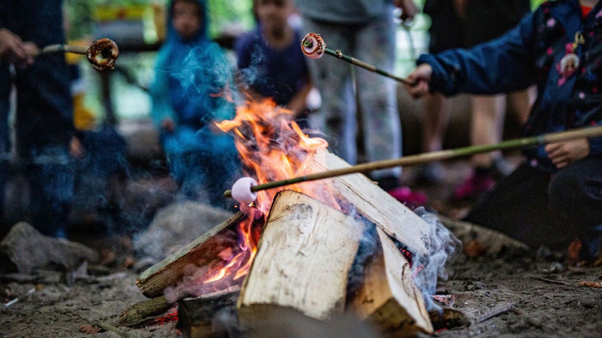 People roasting marshmallows over a campfire with sticks.