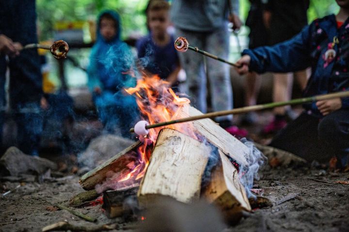 People roasting marshmallows over a campfire with sticks.