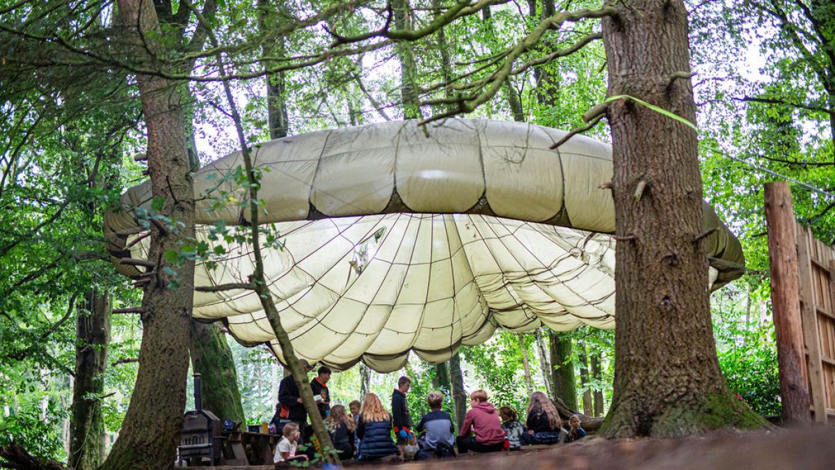 Children sit under a large canopy in a forest area with trees surrounding them.