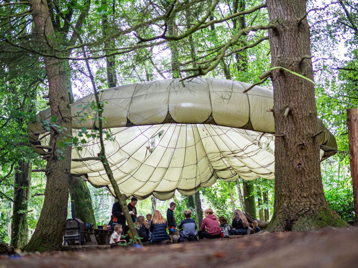 Children sit under a large canopy in a forest area with trees surrounding them.