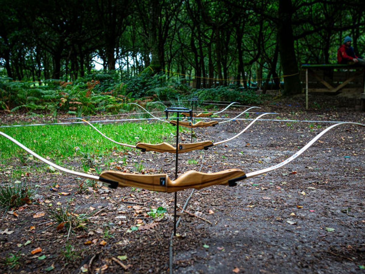 Wooden bows lined up on a forest floor, trees and grass in the background.