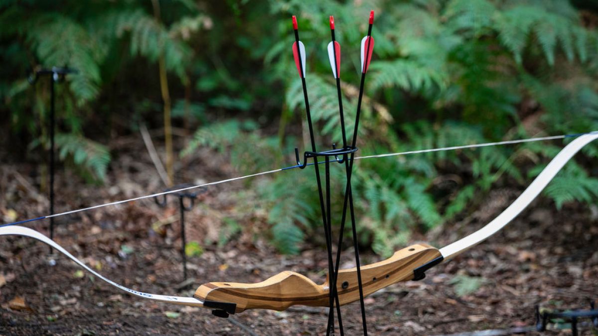 A bow and three arrows on a stand in a woodland background.