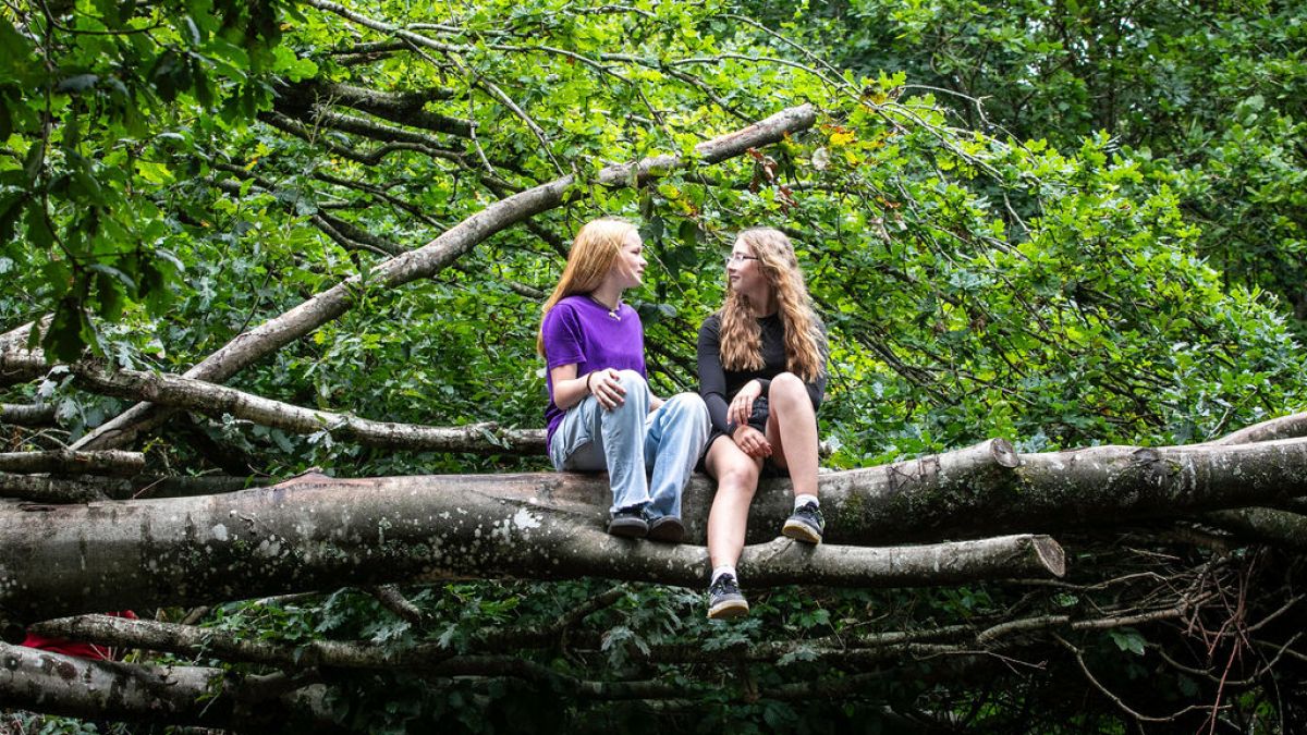 Two people sitting on a large fallen tree branch in a lush, green forest.