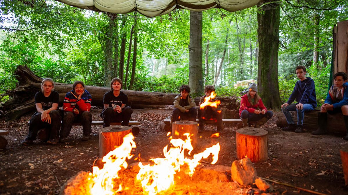 Group of people sitting around a campfire in a forest with a canopy above.