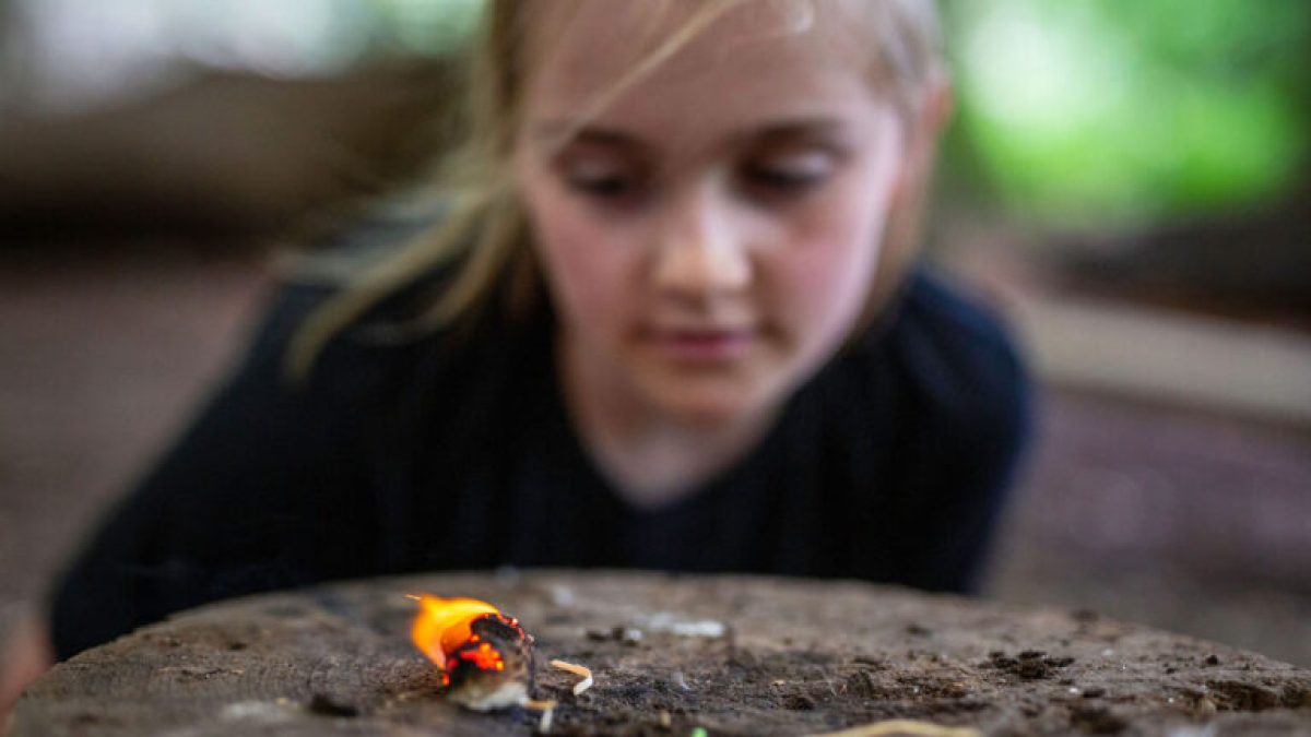 Child watches a small flame on a tree stump in a forest setting.