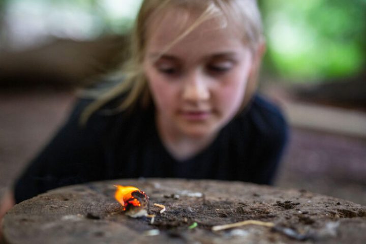 Child watches a small flame on a tree stump in a forest setting.