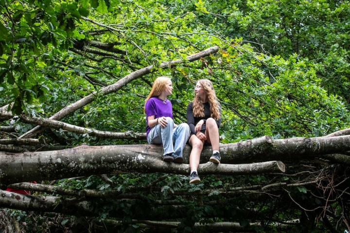 Two people sit on large branches in a lush green forest.