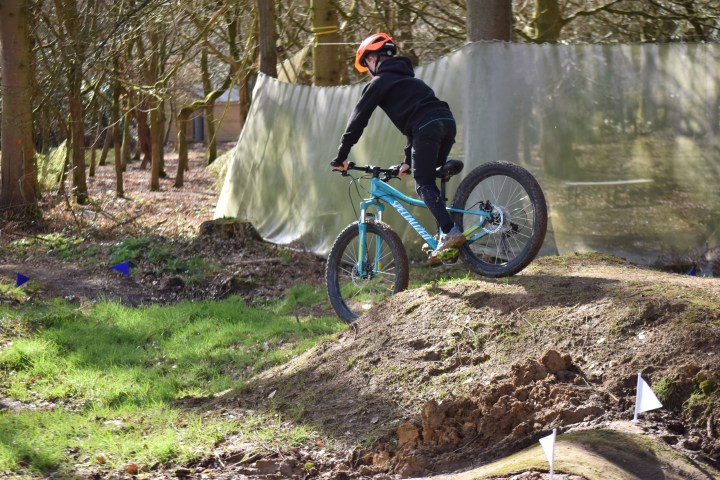 Person in orange helmet riding a blue mountain bike on a dirt trail in a forest.