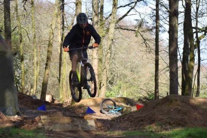 Person mountain biking through a forest trail with a jump in the path.
