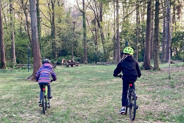 Two children riding bikes on a forest path surrounded by trees.