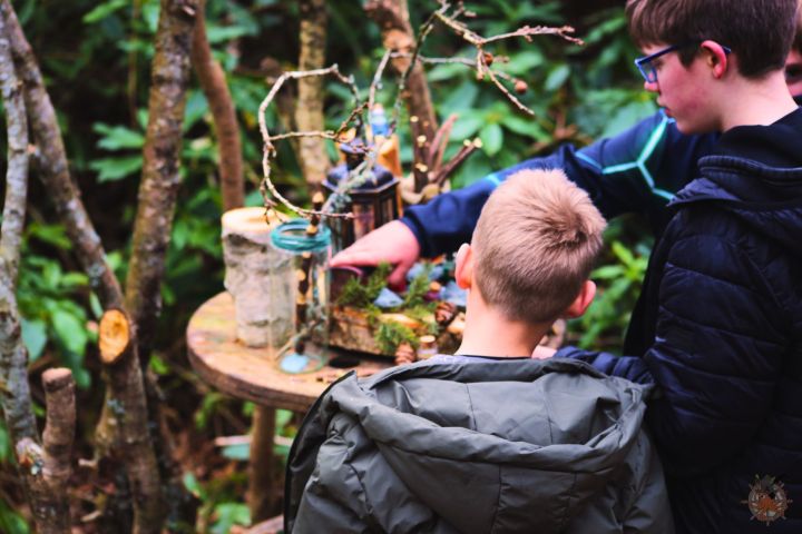 Two boys examining objects on a wooden table in a forest setting.