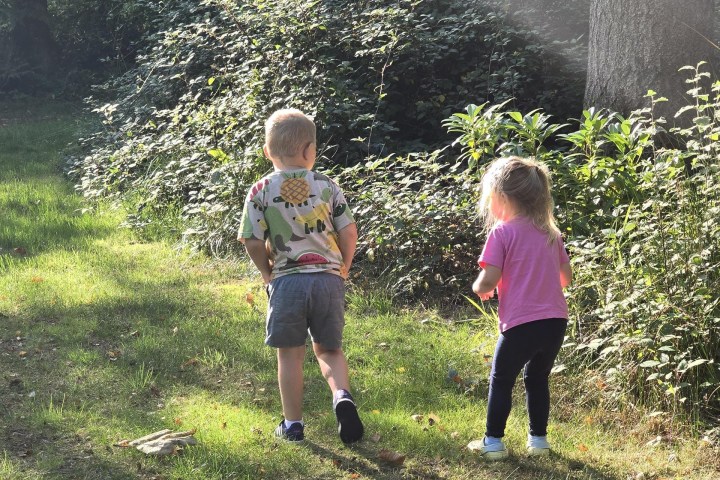 Two children walking on a grassy path through a sunlit forest.