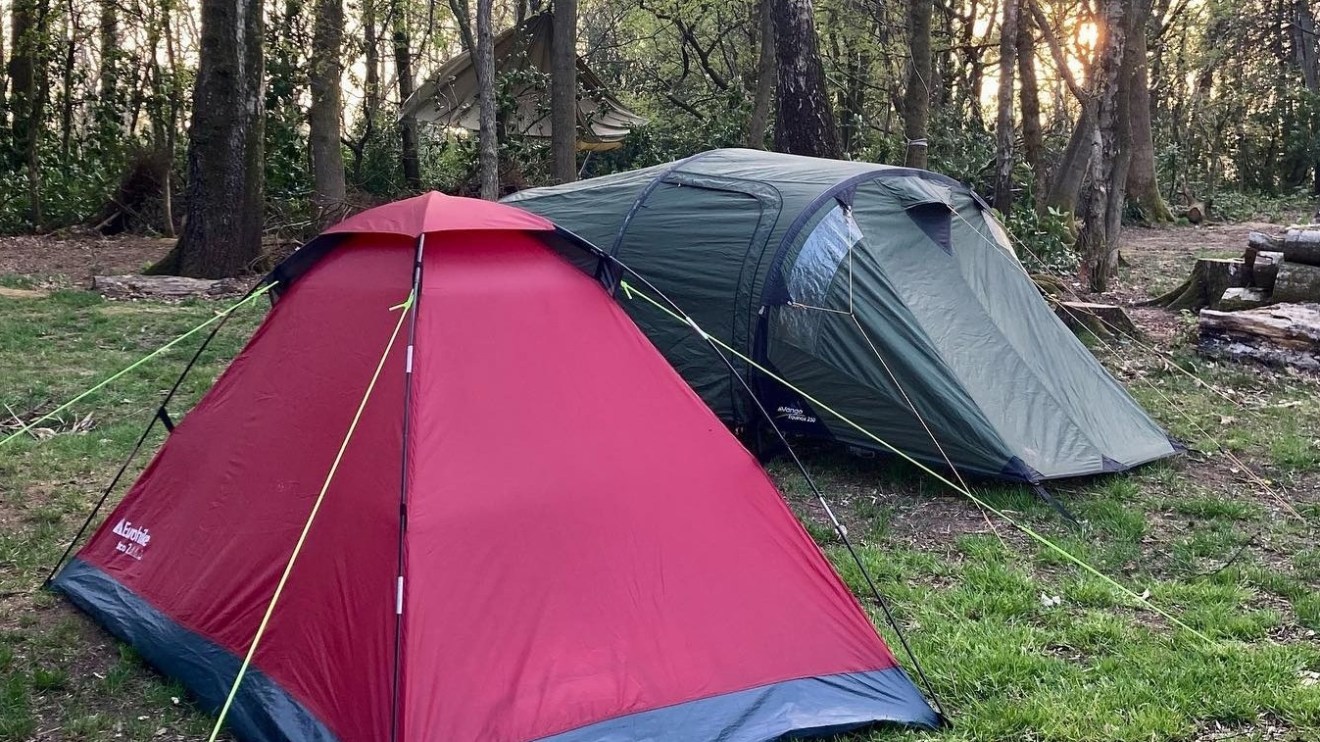 Two tents set up in a forest clearing during sunset.