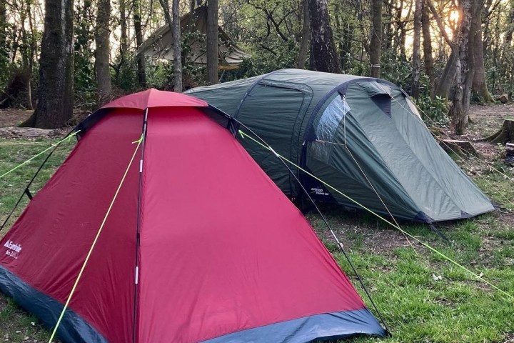 Two tents set up in a forest clearing during sunset.