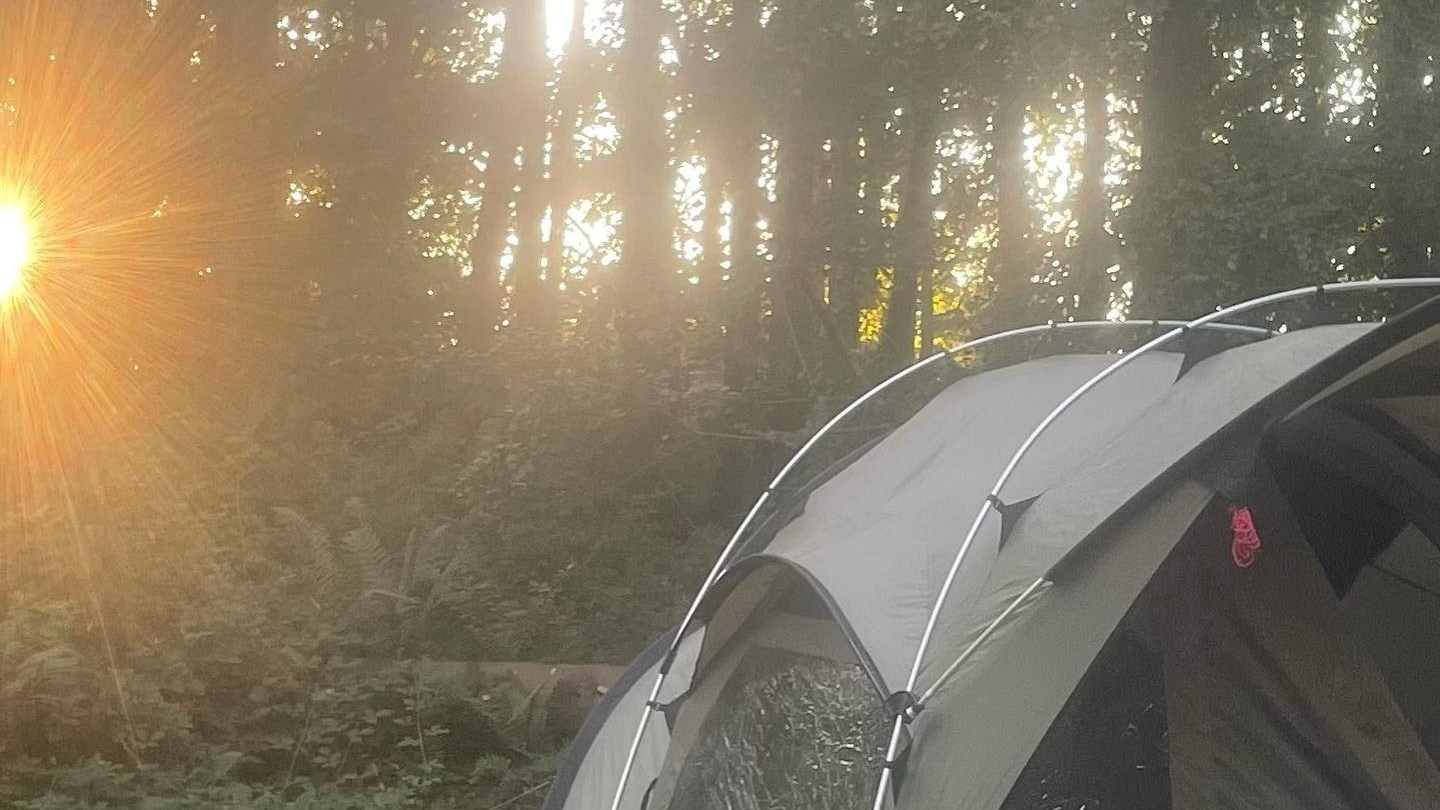 Tent in a forest with sun rays shining through trees.