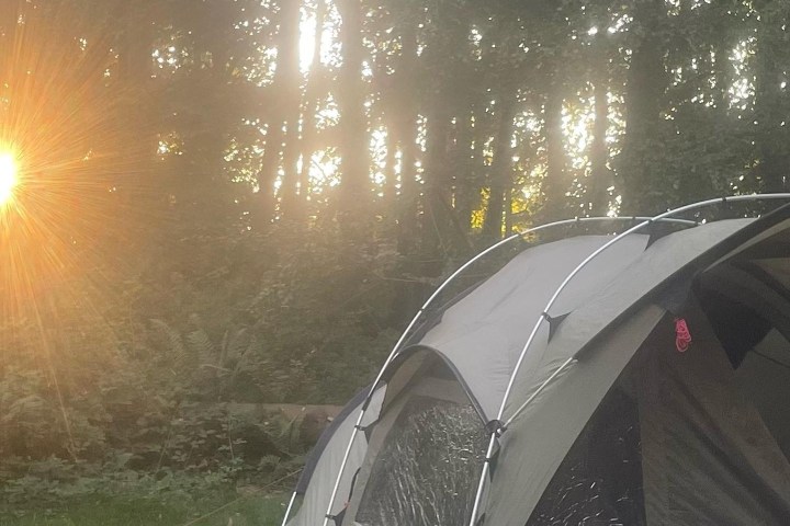 Tent in a forest with sun rays shining through trees.