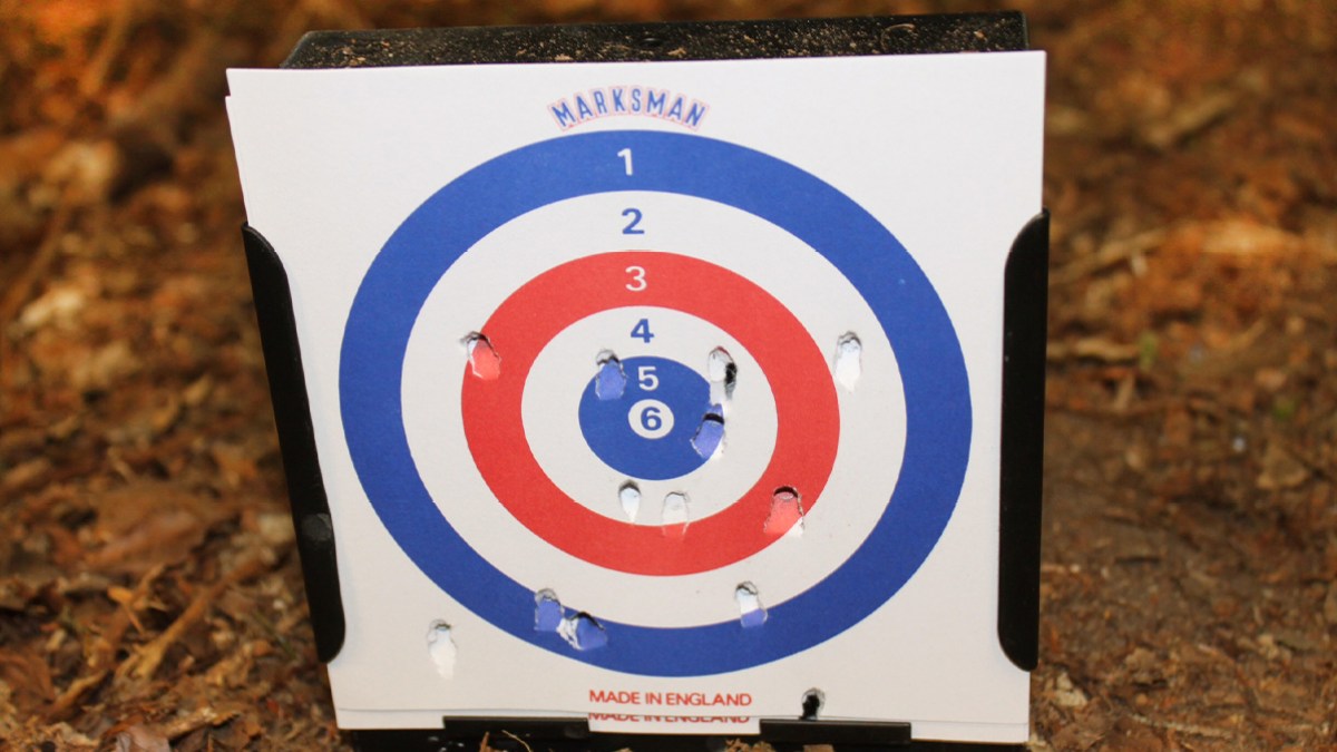 Paper target with multiple holes in blue and red rings, labeled 'MARKSMAN', on a forest floor.
