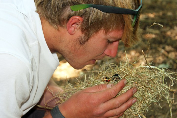 Person blowing on kindling to start a fire in an outdoor setting.