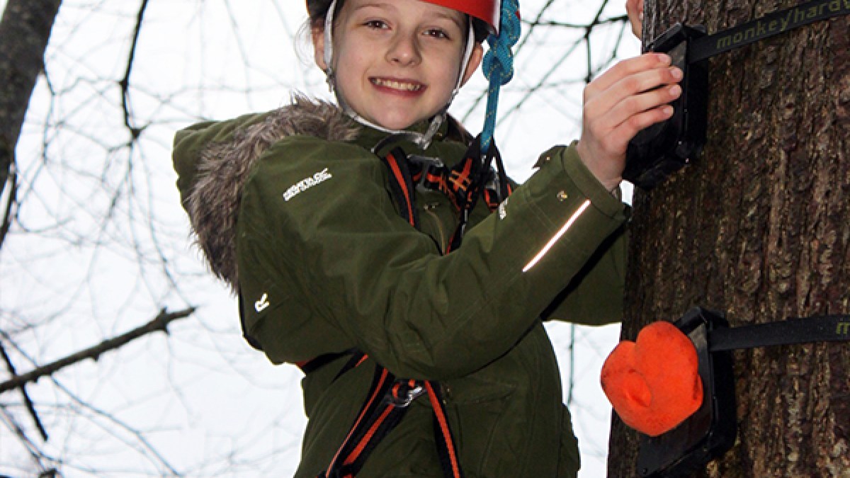 Person climbing a tree in a harness and red helmet, smiling.